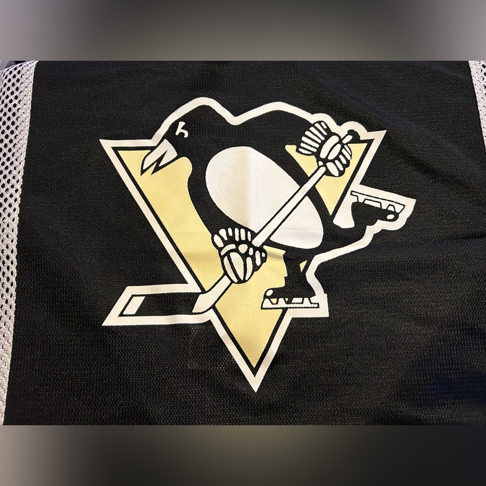 Pittsburgh Penguins NHL Jersey SL Pillow Sham Light Yellow Black 31"X25" - Picture 2 of 8